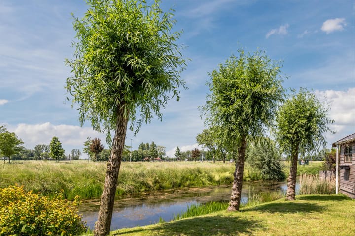 Foto 3 van Bonhoefferstraat 2