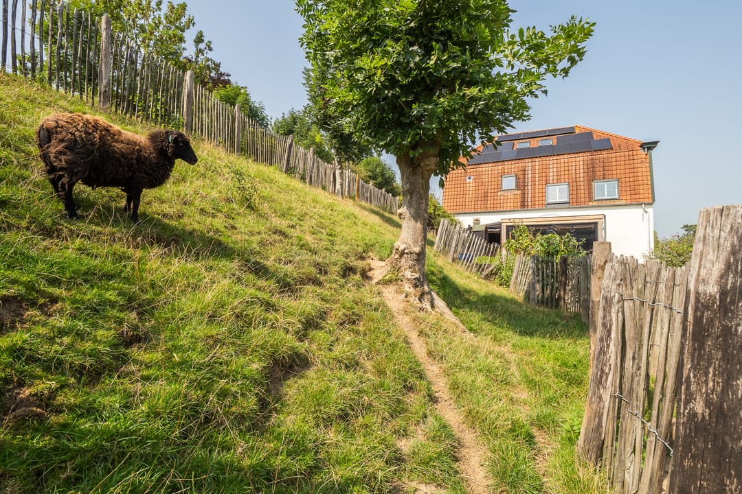 Foto 56 van Waaldijk 55