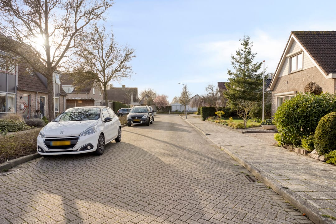 Foto 41 van Burgemeet 46