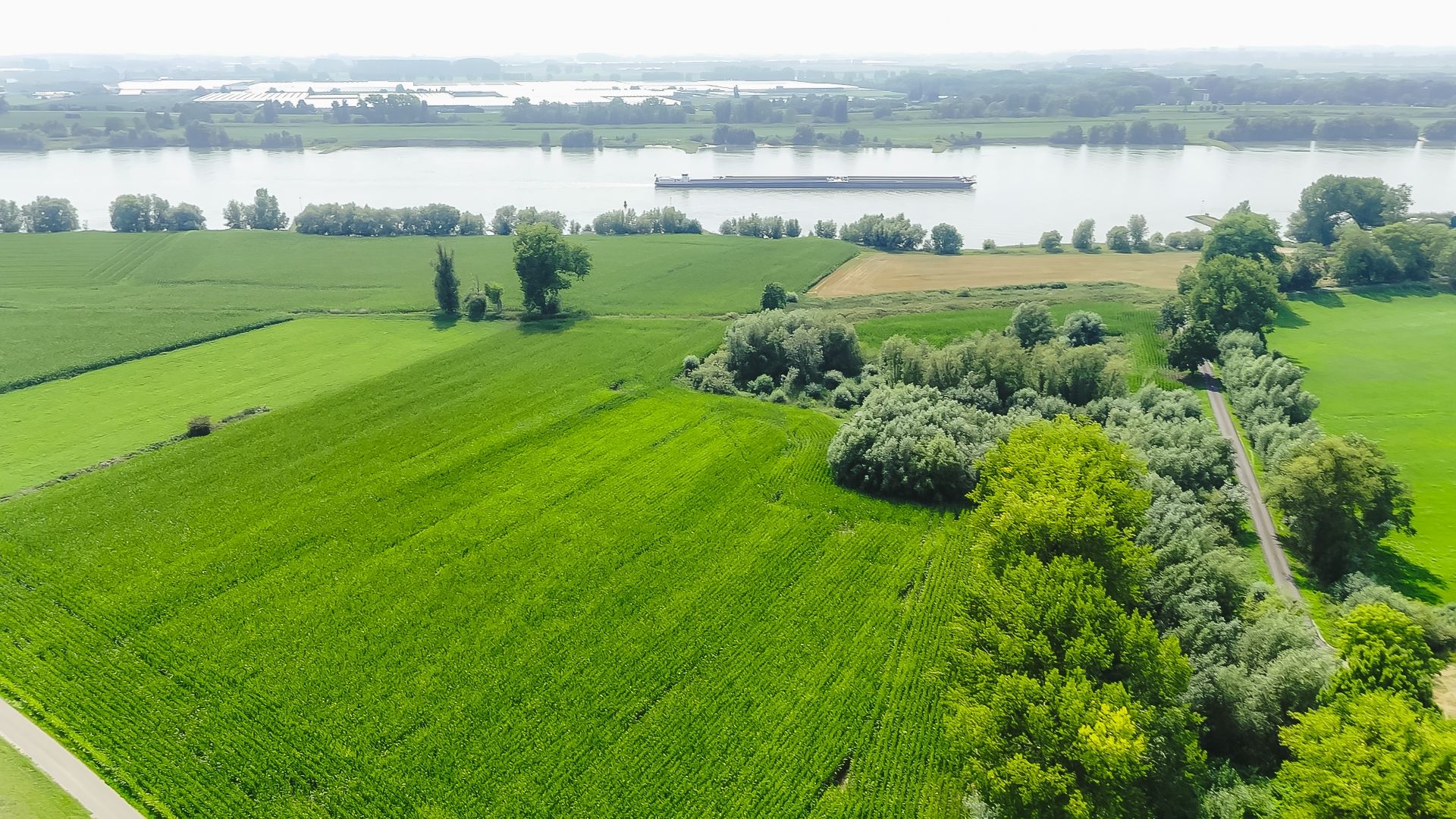 Foto 63 van Waaldijk 55