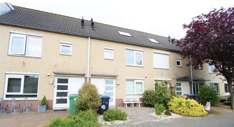 undefined main image