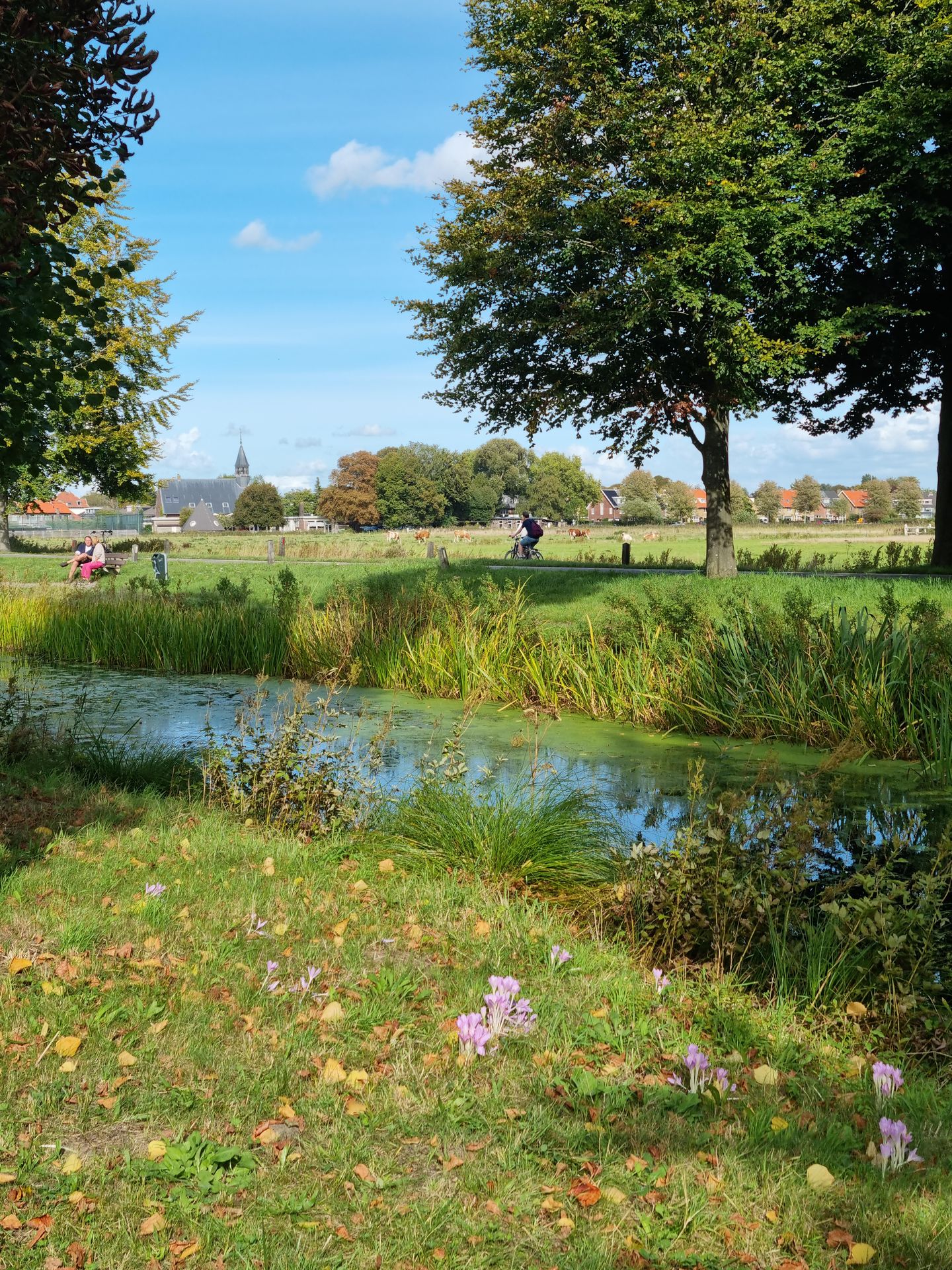 Foto 40 van Lambrecht van Dalelaan 19