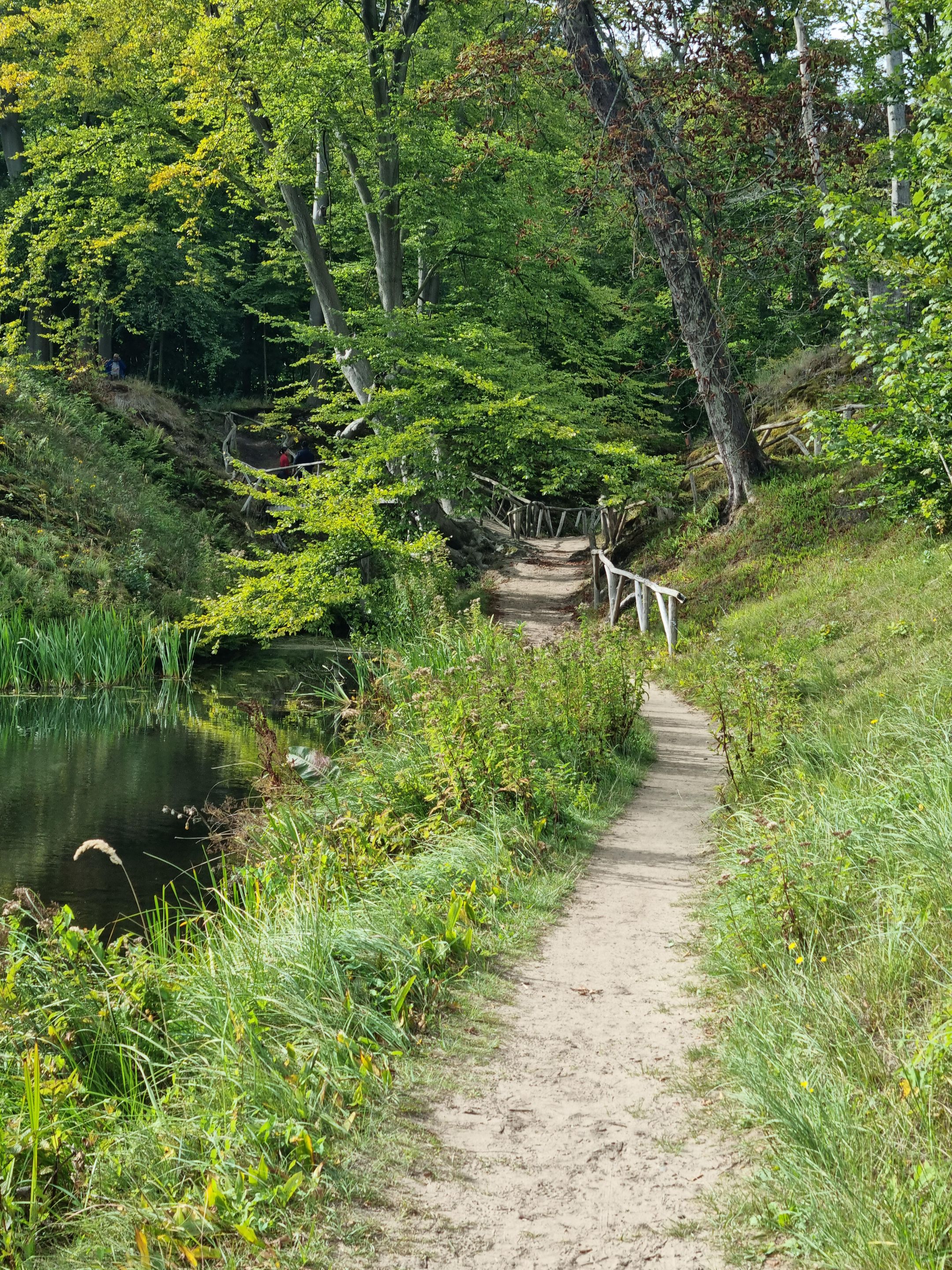 Foto 42 van Lambrecht van Dalelaan 19