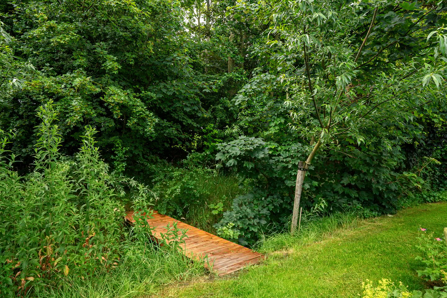 Foto 40 van Mûnewei 16