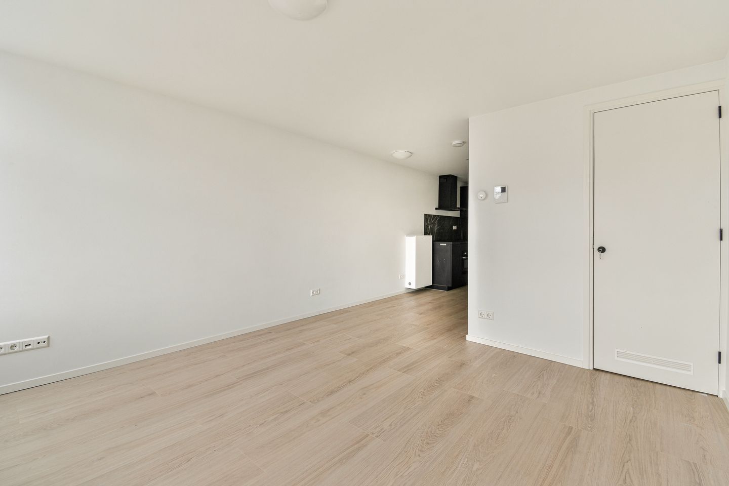 Foto 5 van Egelantiersstraat 168-3