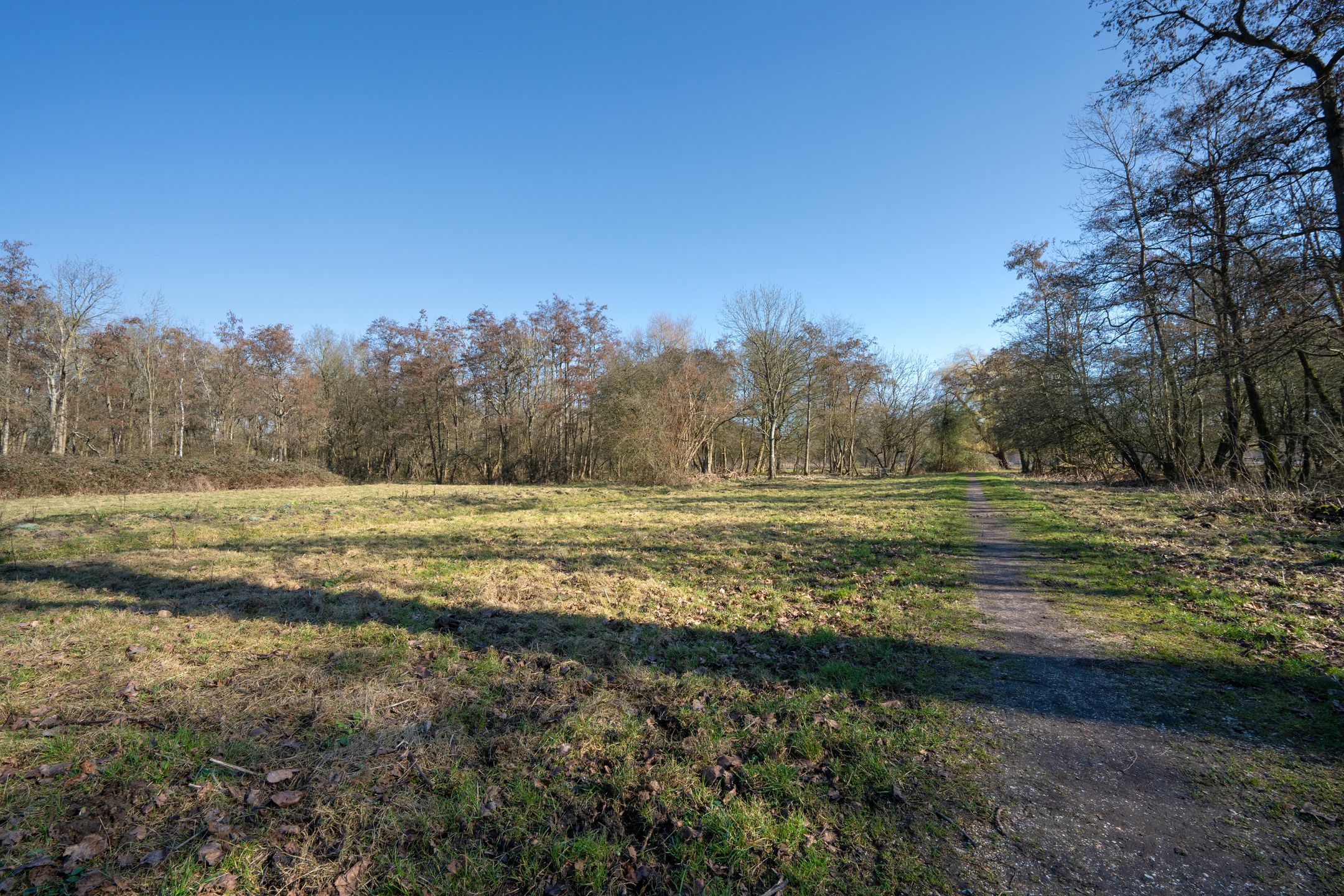 Foto 42 van Meidoornstraat 42