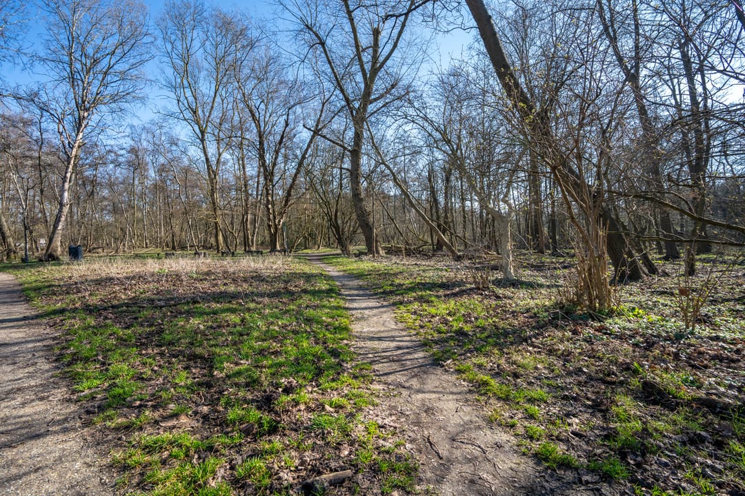 Foto 41 van Meidoornstraat 42