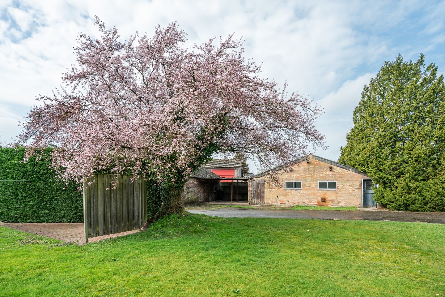 Photo 44 of Geneneind 8