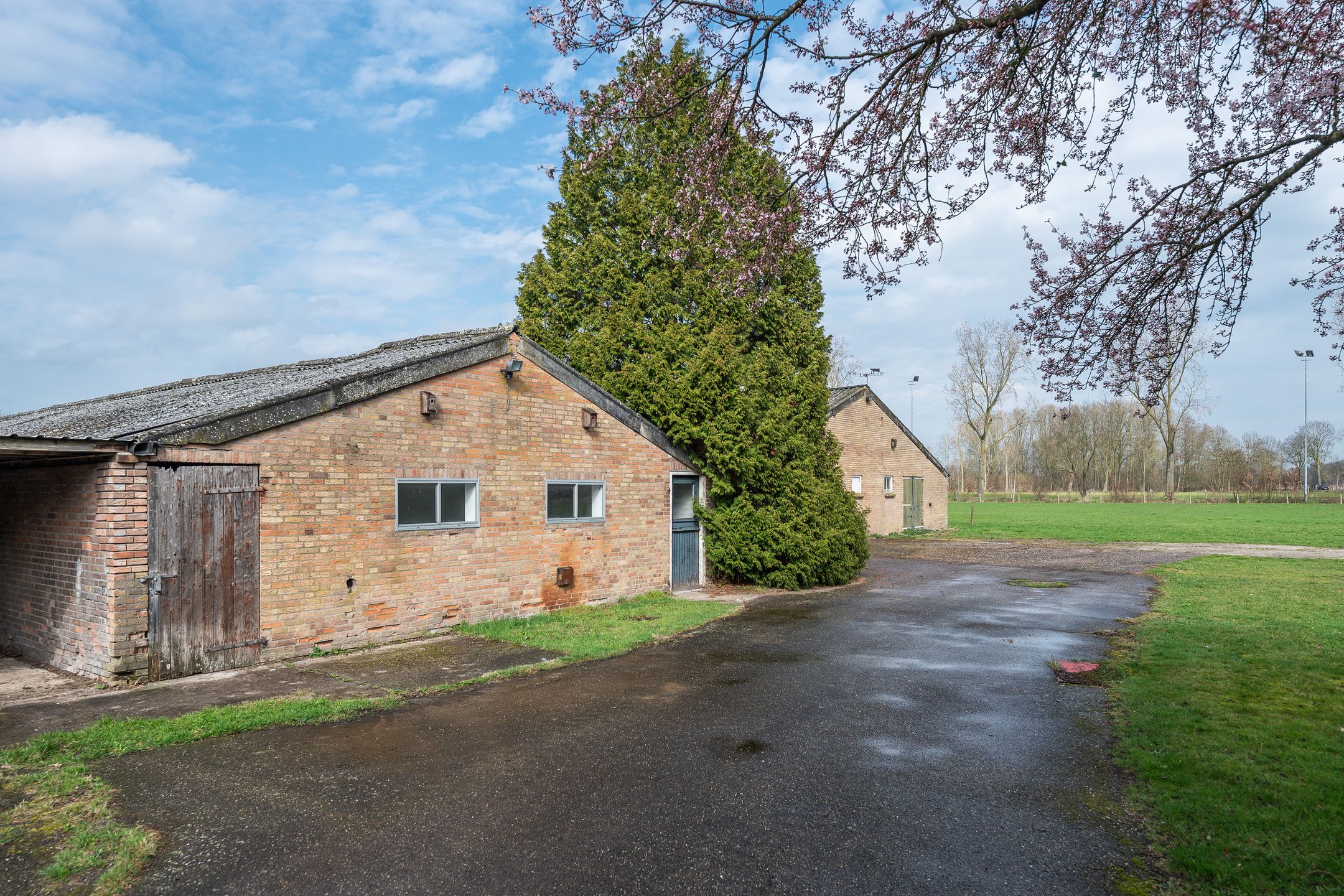 Photo 45 of Geneneind 8