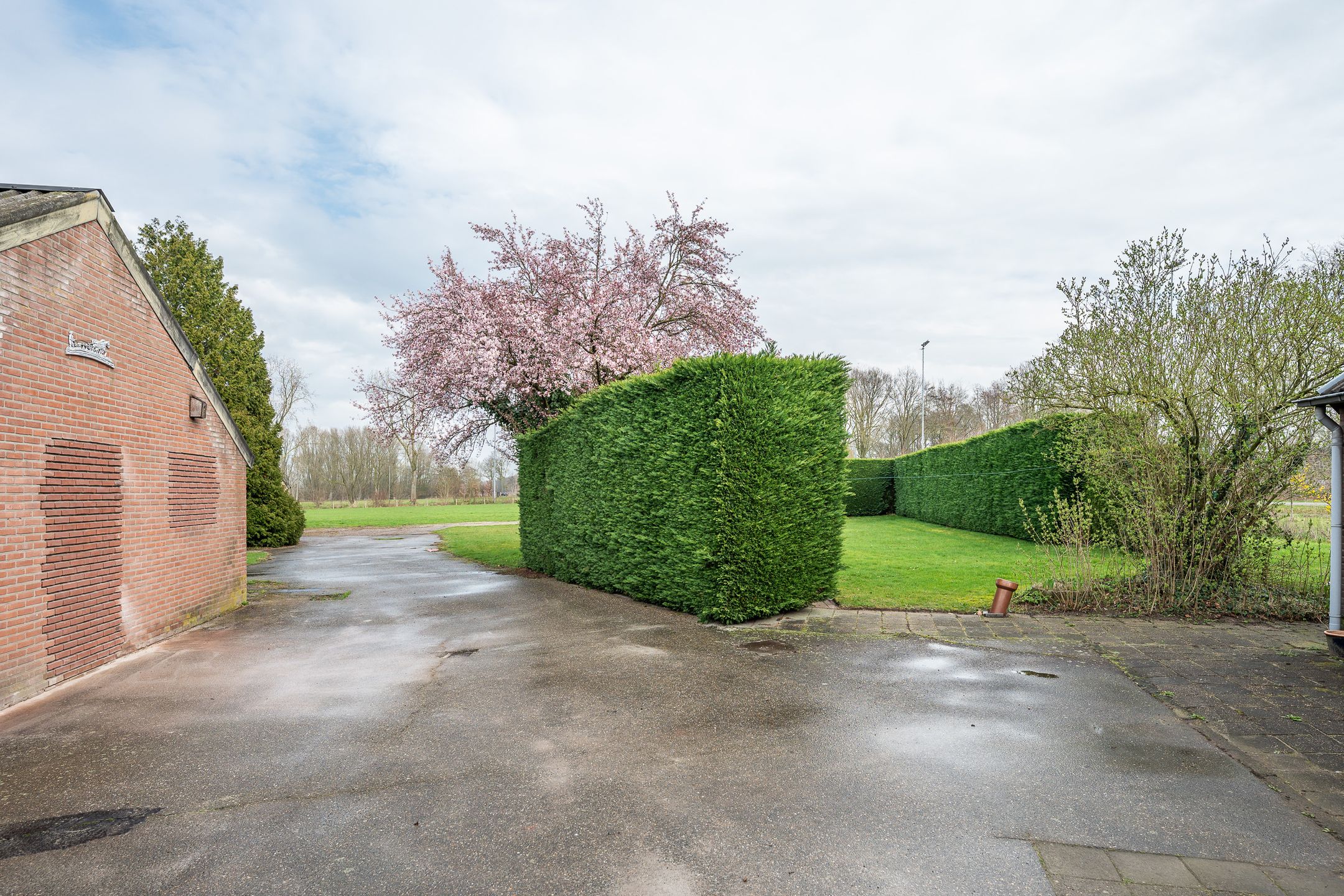 Photo 48 of Geneneind 8