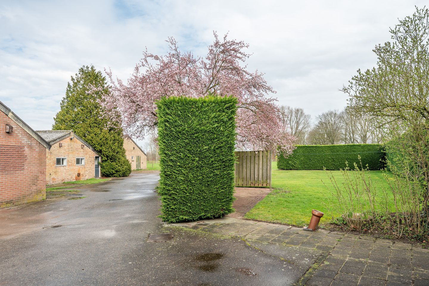 Photo 49 of Geneneind 8