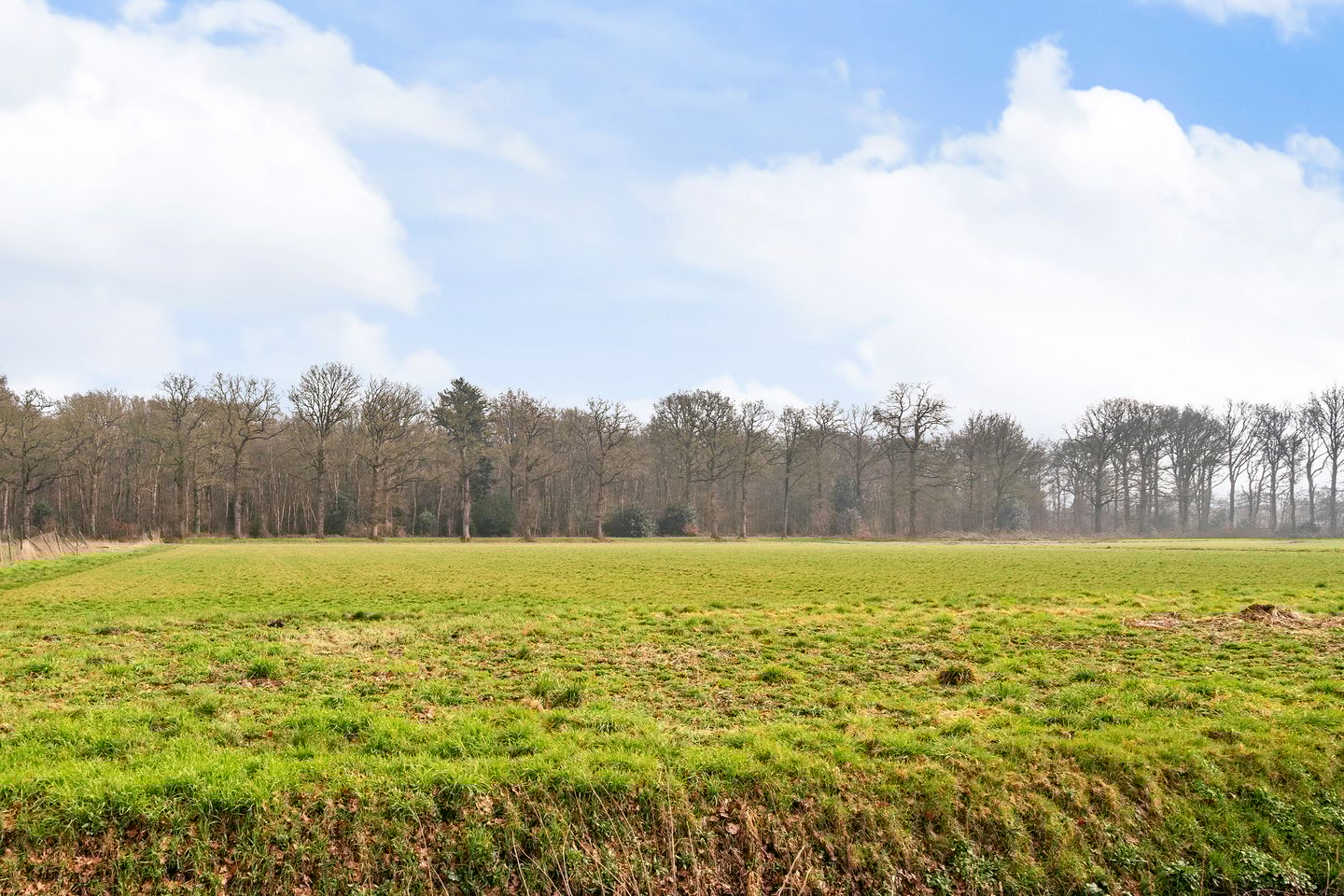 Foto 35 van Prins Clausstraat 61