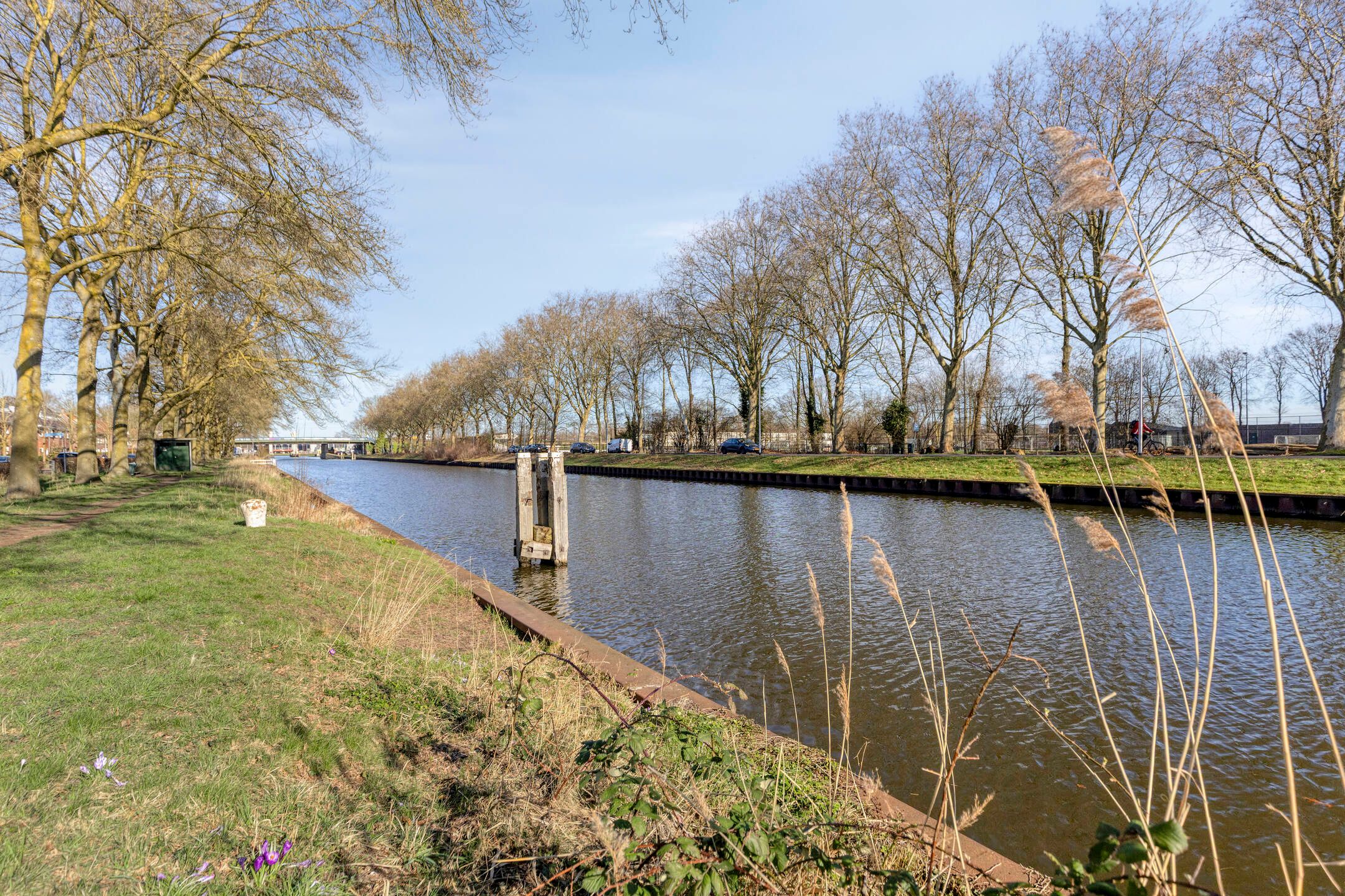 Photo 39 of Daendelsstraat 33-A