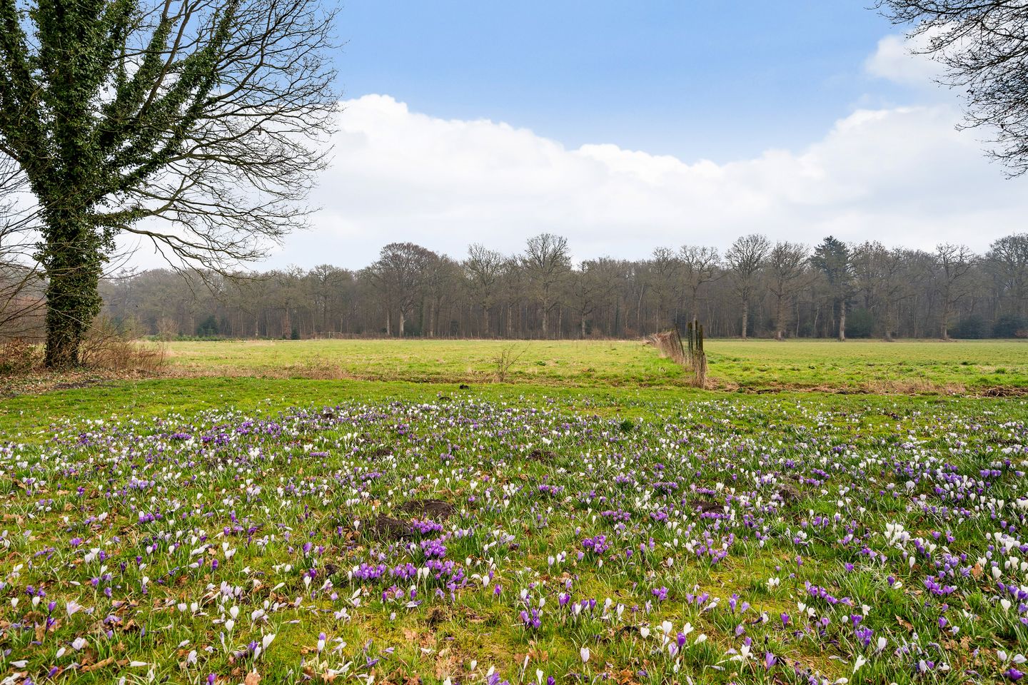 Foto 34 van Prins Clausstraat 61