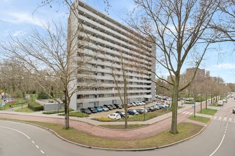 Chopinplein thumbnail