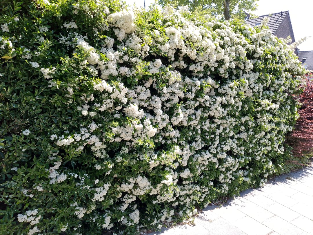 Photo 26 of Baljuwlaan 67