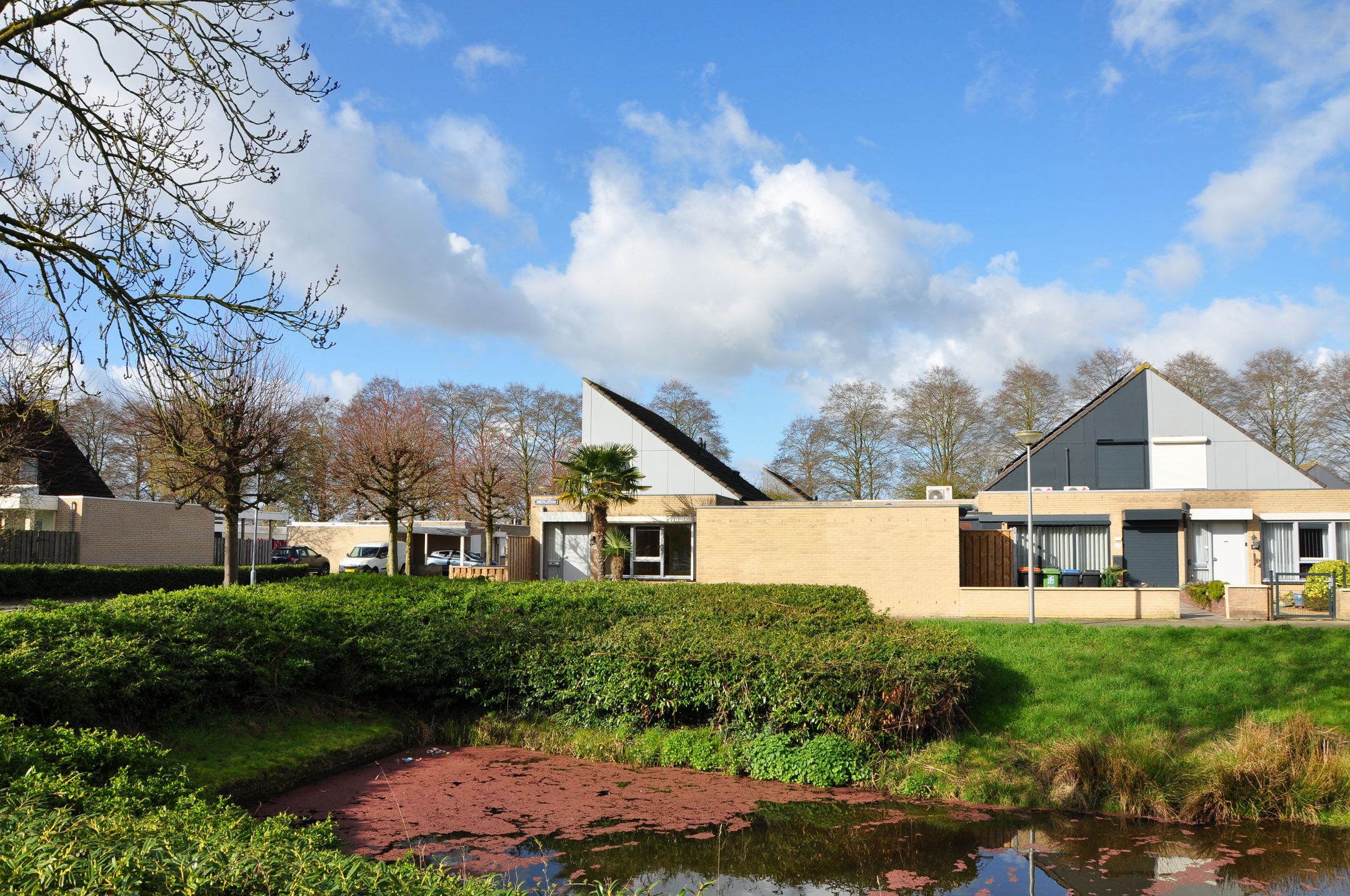 Foto 3 van Sneevliethof 39