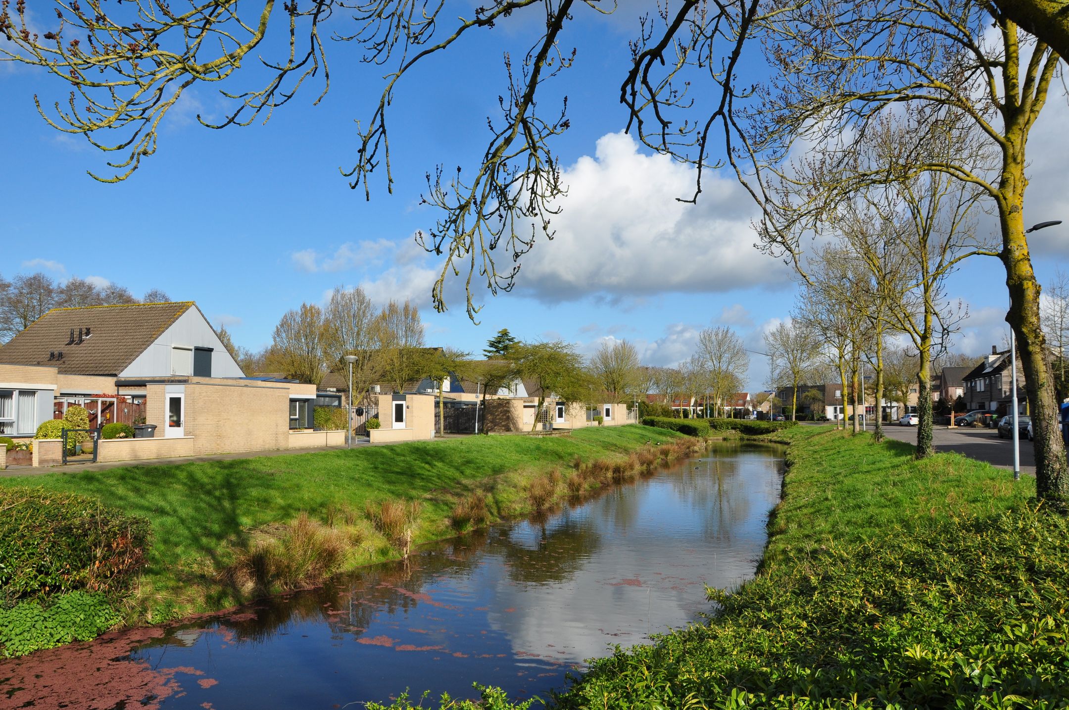 Foto 6 van Sneevliethof 39