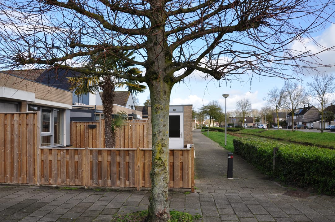 Foto 11 van Sneevliethof 39