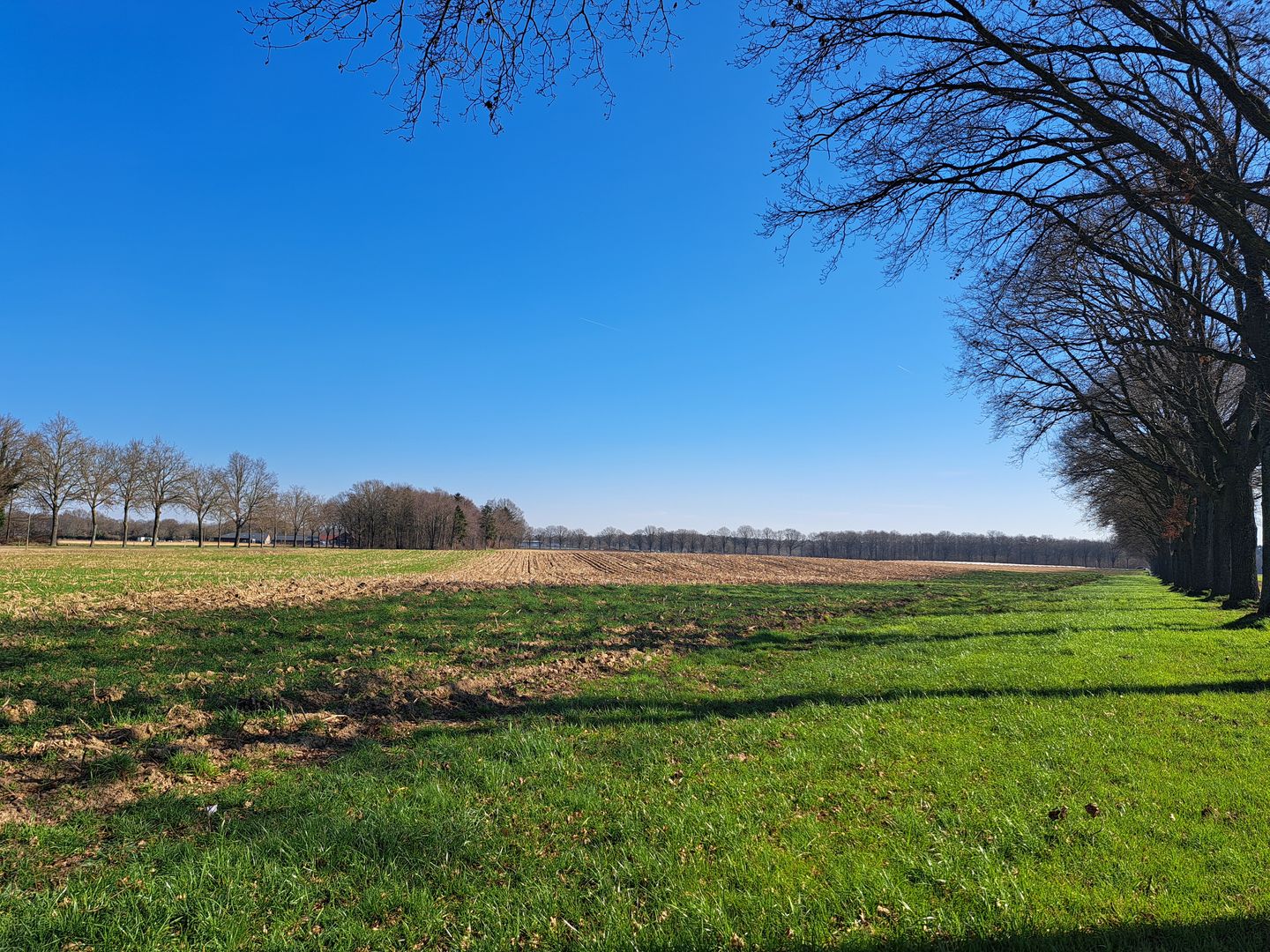 Bekijk foto 4 van Waarderweg