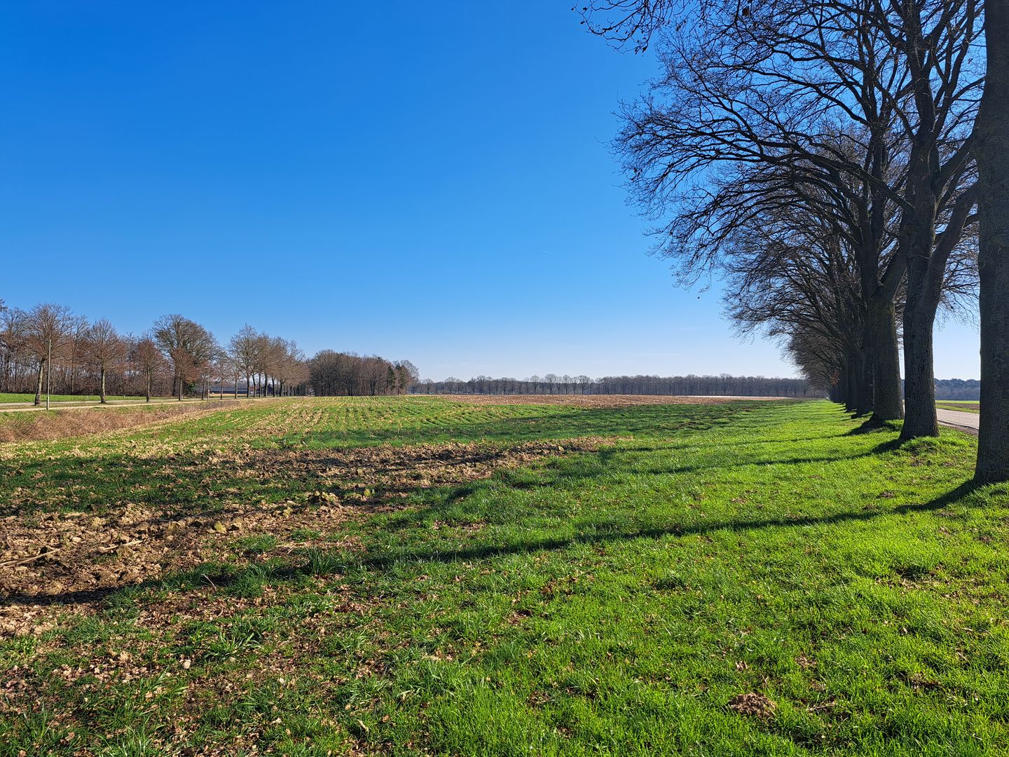Bekijk foto 3 van Waarderweg