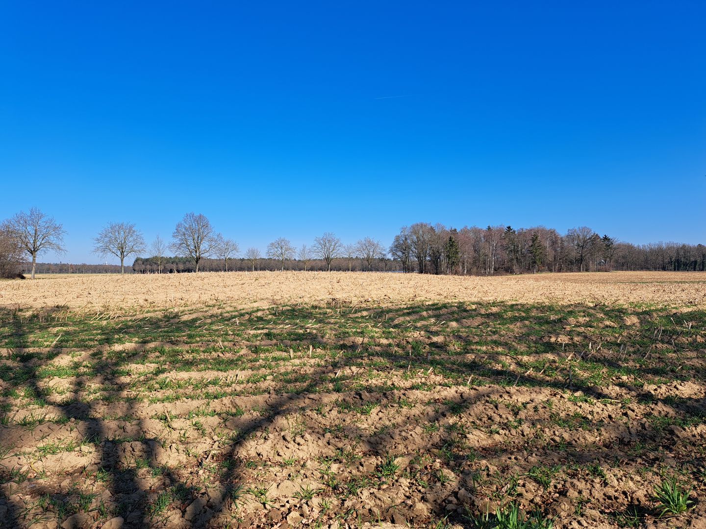 Bekijk foto 5 van Waarderweg
