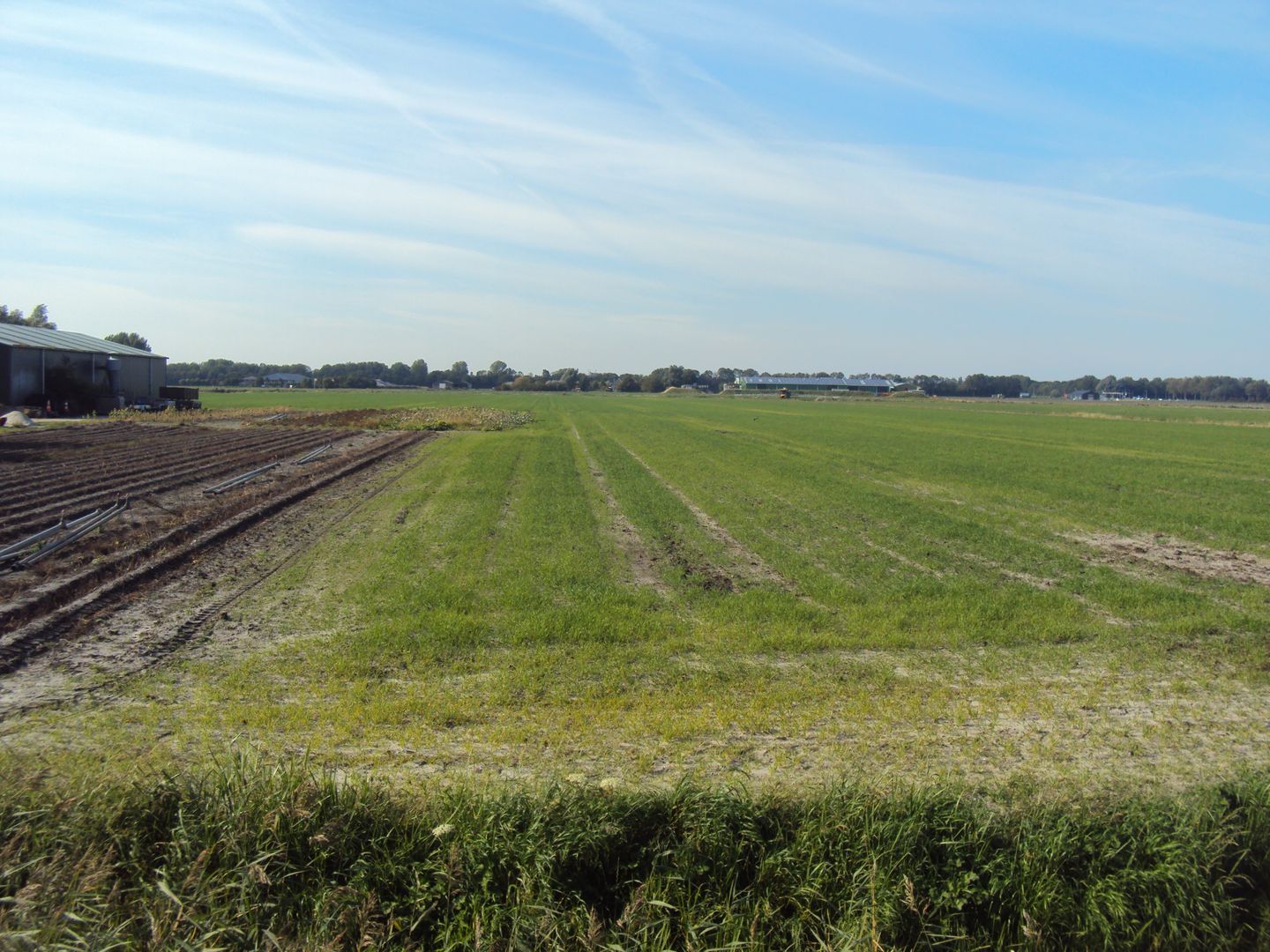 View photo 4 of nabij Spanjaardsdam 1