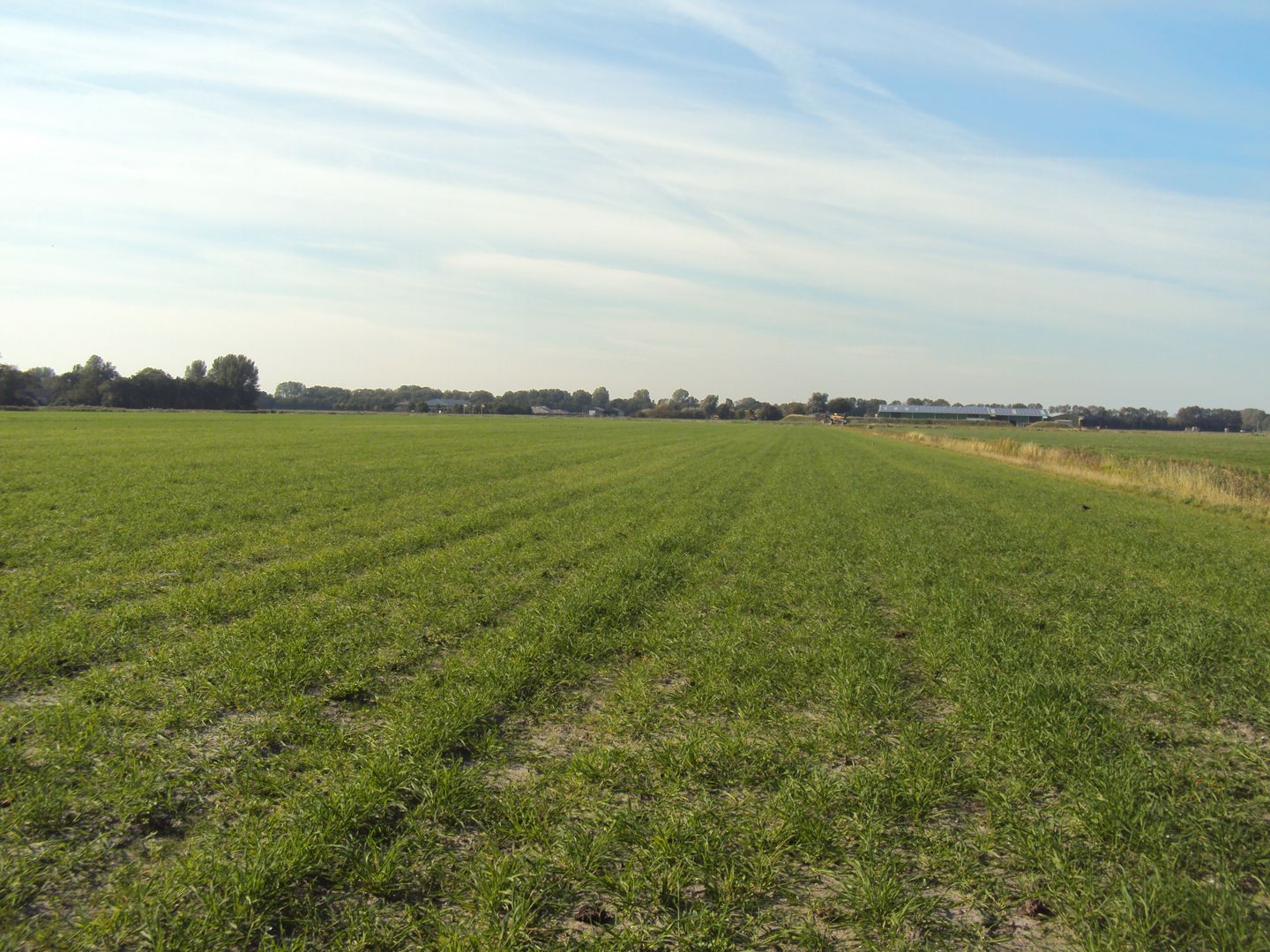 View photo 5 of nabij Spanjaardsdam 1