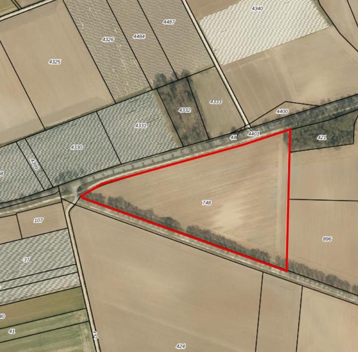 Waarderweg - Sint Odiliënberg - Afbeelding 7