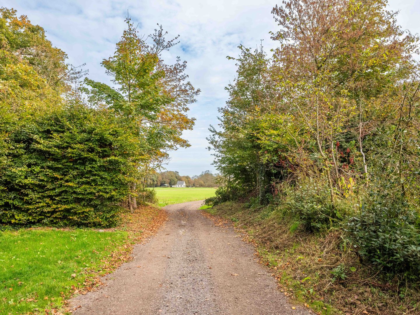 Foto 10 van Herenweg 57