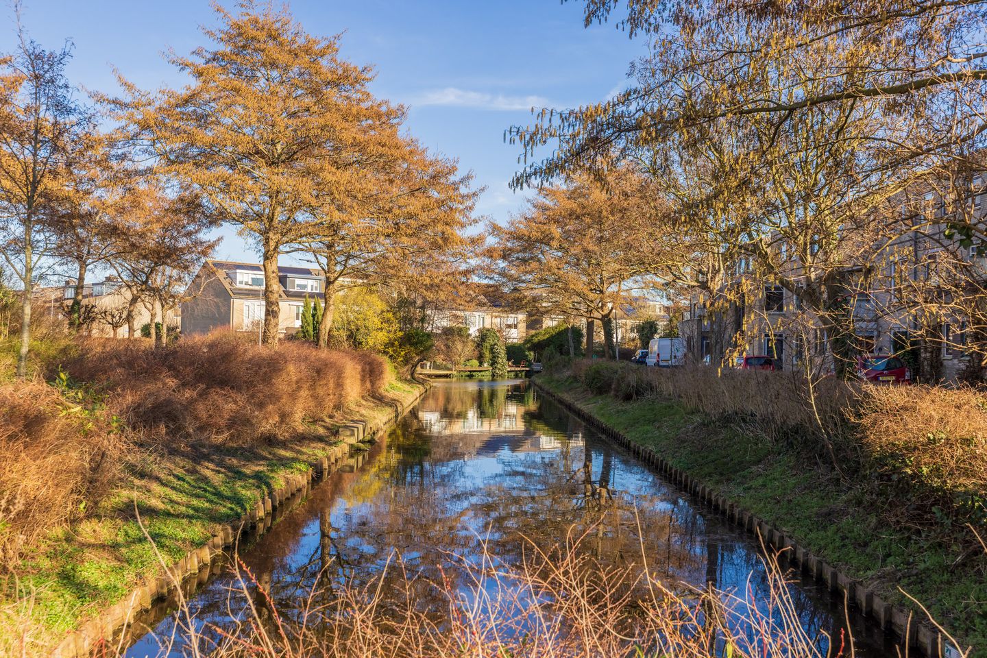 Foto 65 van Selderiestraat 7