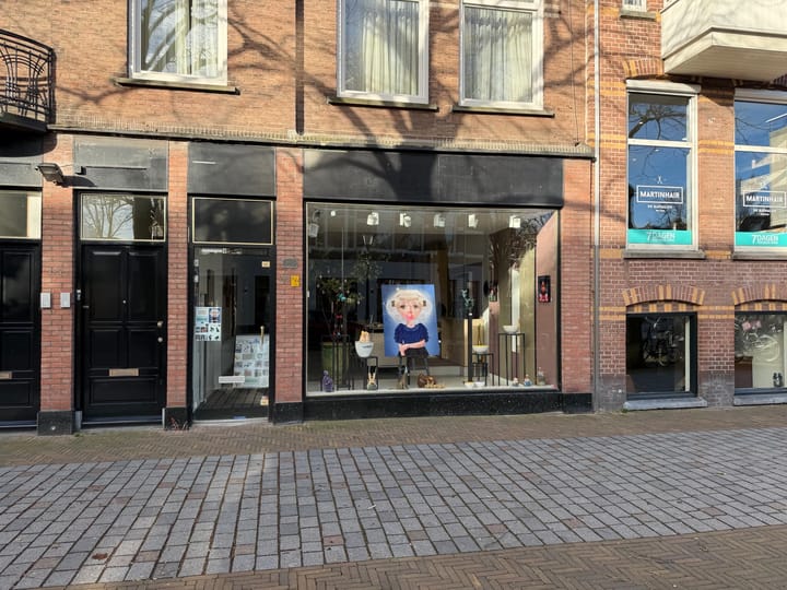 Frederik Hendriklaan 223, Den Haag