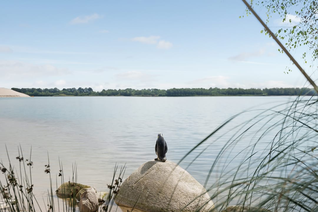 Foto 43 van Verlengde Broekdijk 21