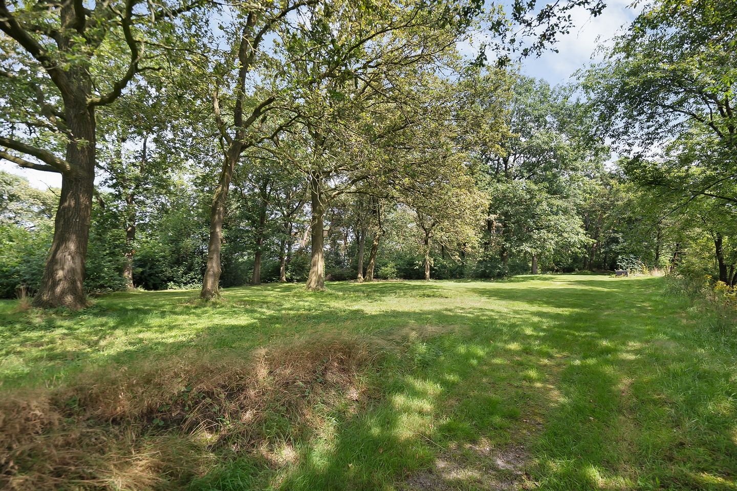 Foto 55 van Verlengde Broekdijk 21