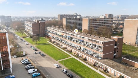 Obrechtstraat thumbnail