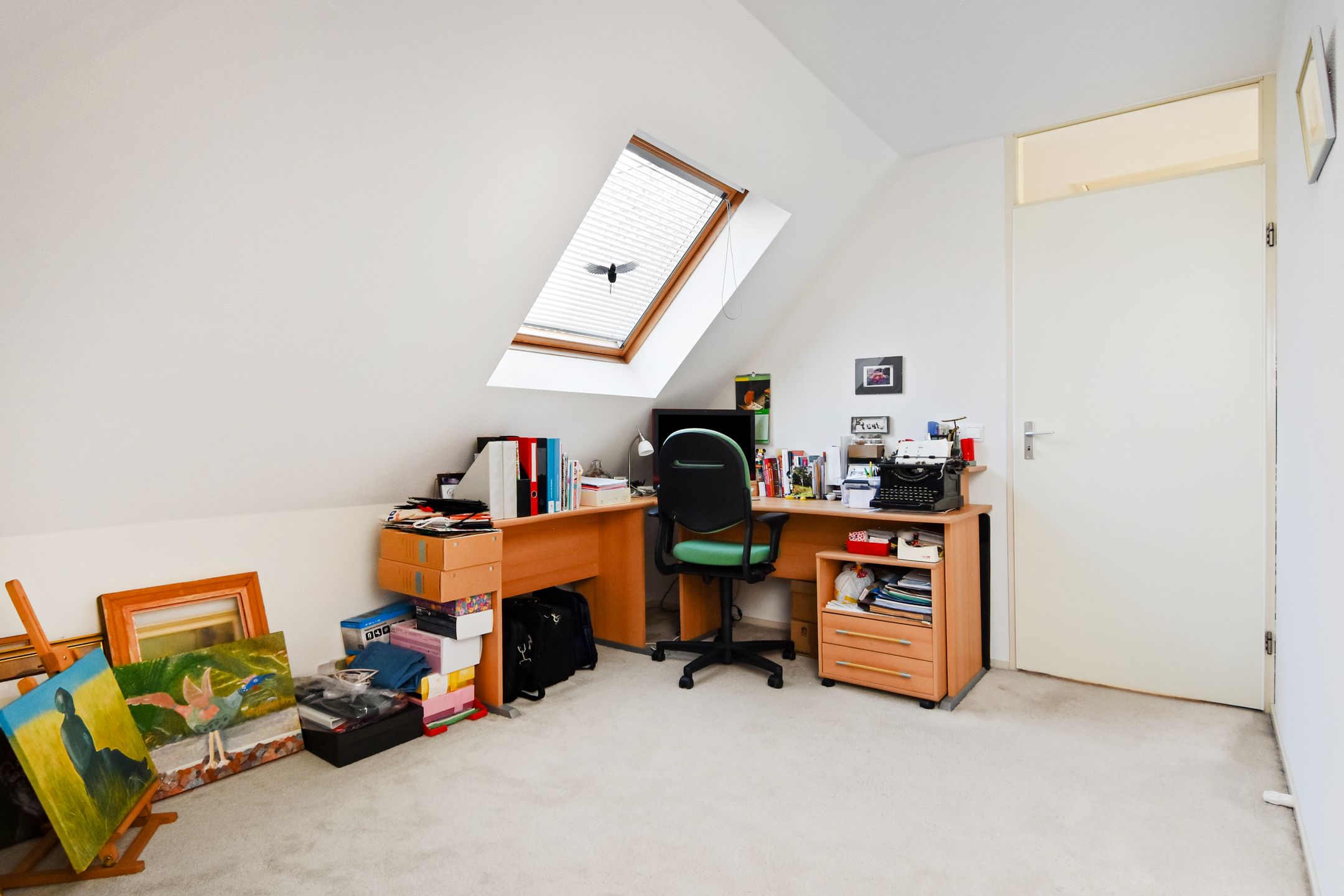 Foto 27 van Fonteinkruid 33