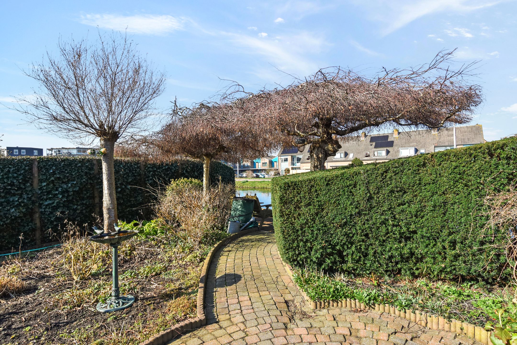 Foto 48 van Fonteinkruid 33