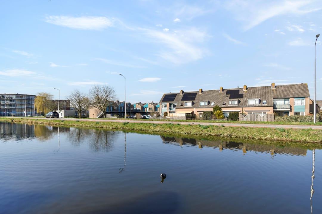 Foto 52 van Fonteinkruid 33