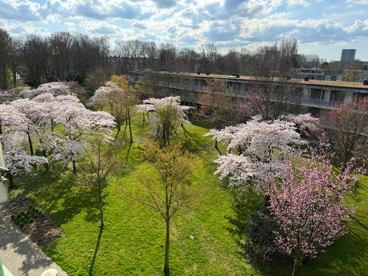 Foto 34 van Adolphine Eduardine Kokplantsoen 74