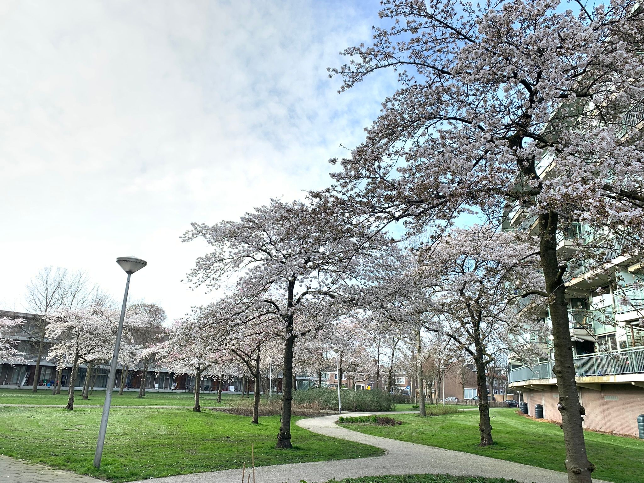 Foto 36 van Adolphine Eduardine Kokplantsoen 74