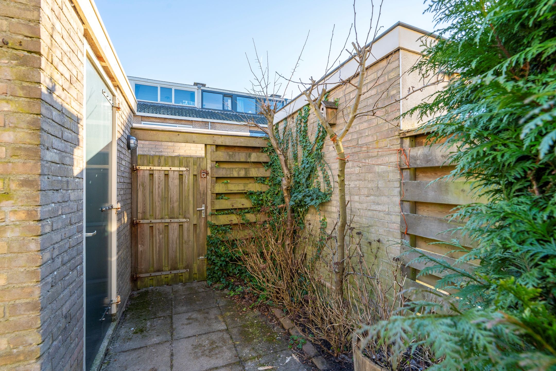 Foto 18 van Curielaan 13