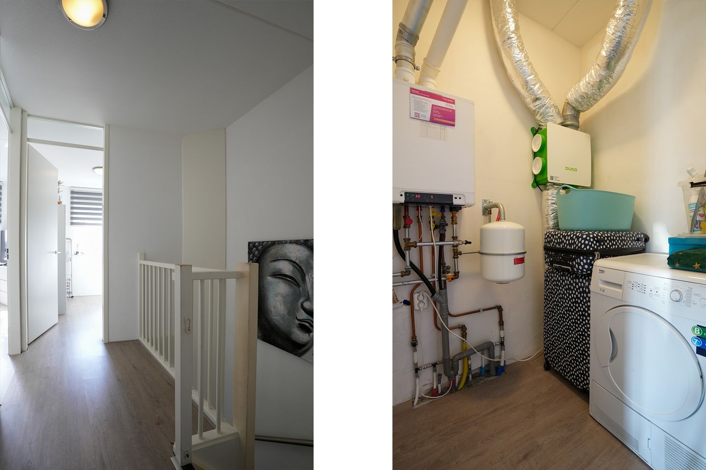 Foto 20 van Koekoeksbloem 61