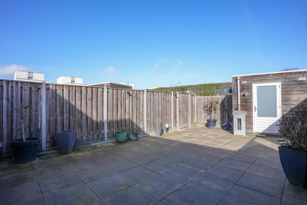 Foto 31 van Koekoeksbloem 61