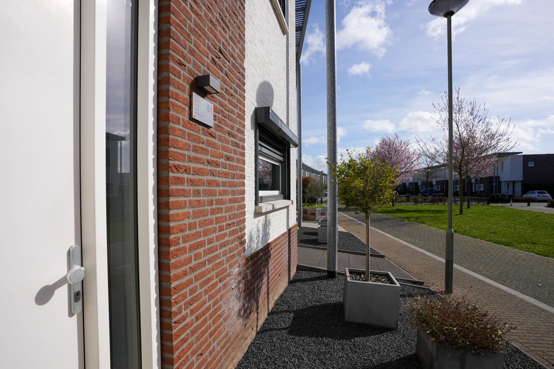 Foto 36 van Koekoeksbloem 61