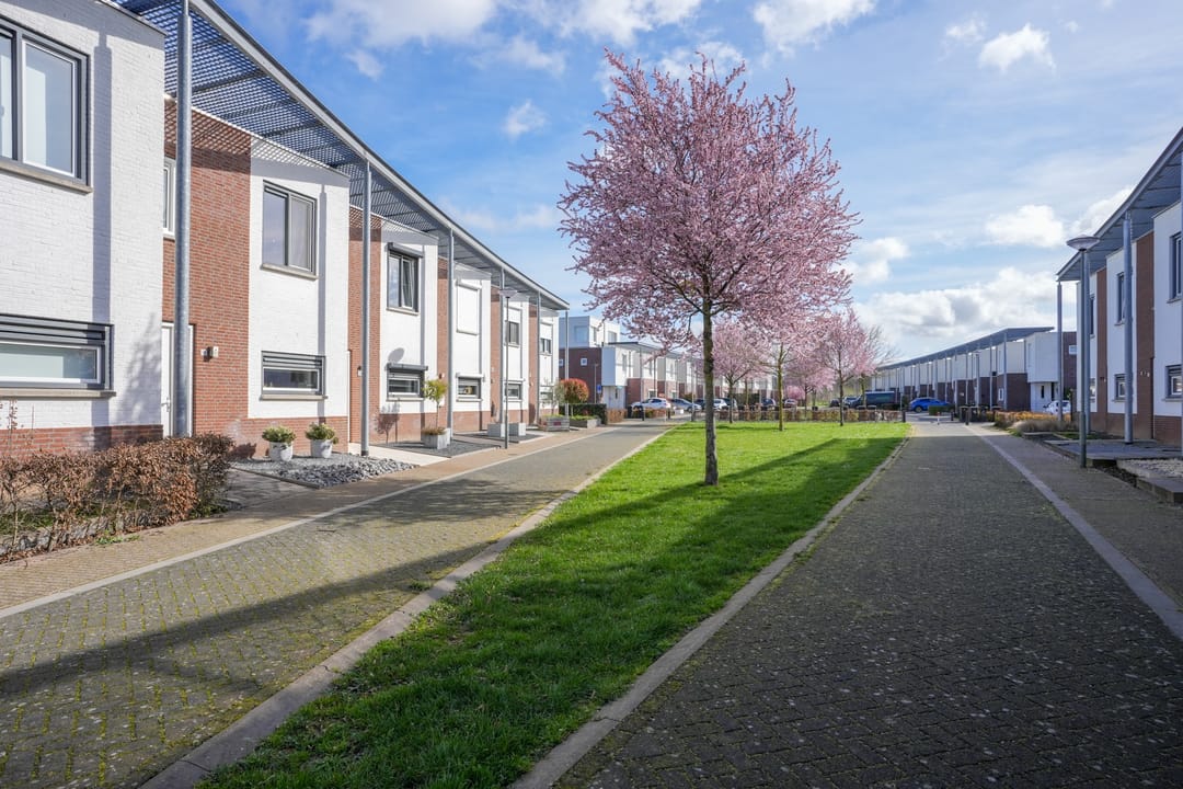 Foto 37 van Koekoeksbloem 61