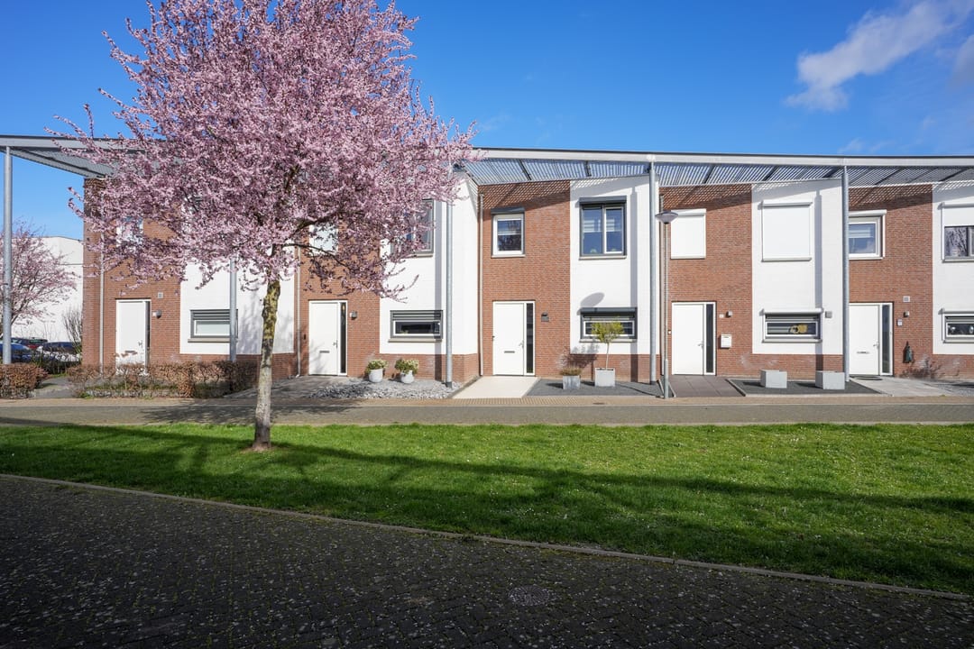 Foto 38 van Koekoeksbloem 61