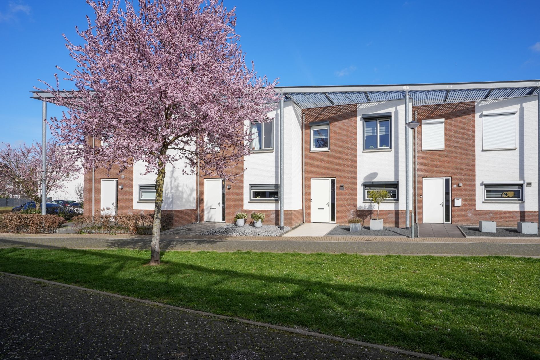 Foto 39 van Koekoeksbloem 61