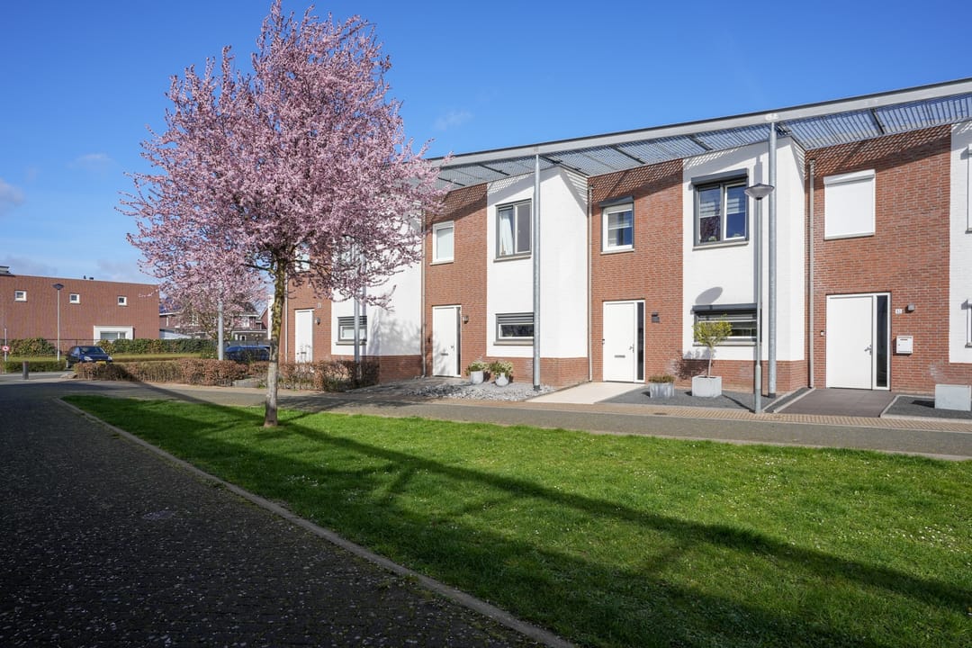 Foto 41 van Koekoeksbloem 61