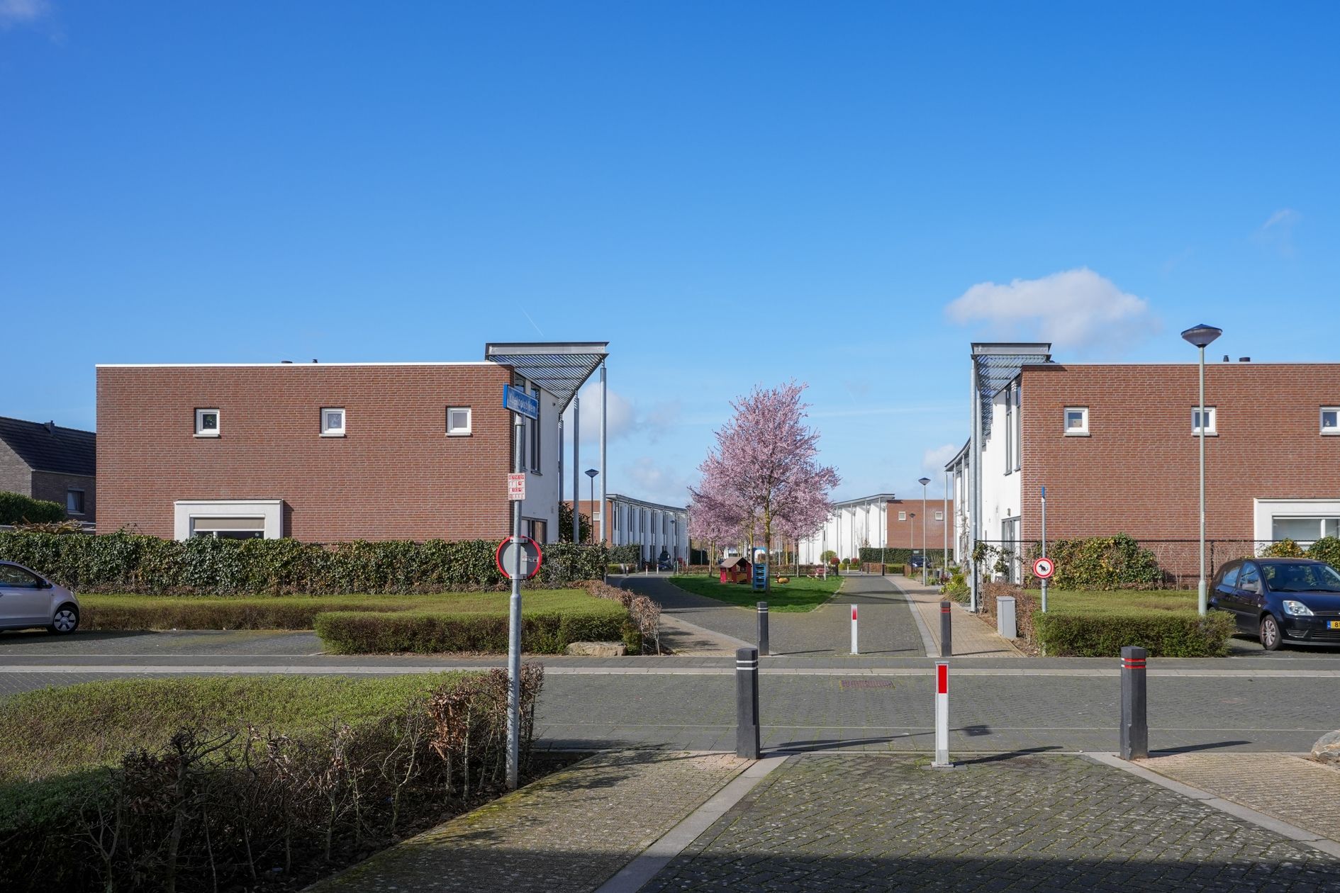 Foto 42 van Koekoeksbloem 61