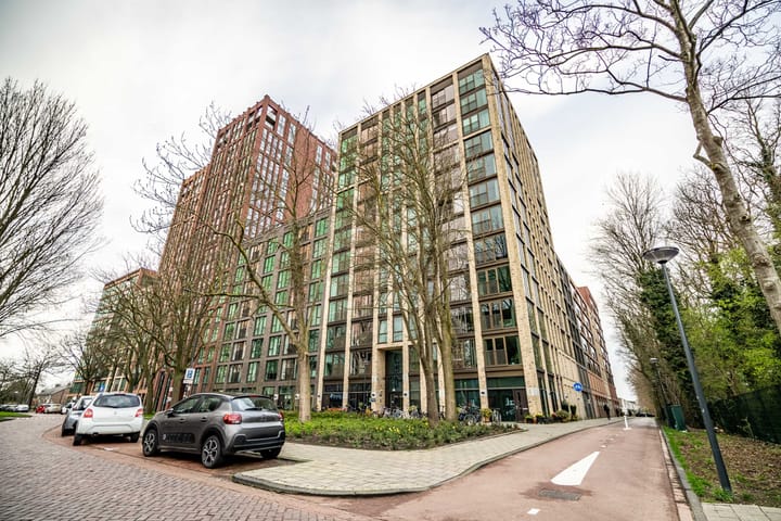 Mangoweg 31 main image